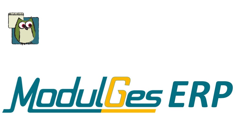 Modulges ERP